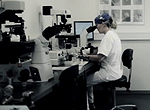 Forskning i fertilitet, fertilitetsbehandling og barnl�shedsbehandling